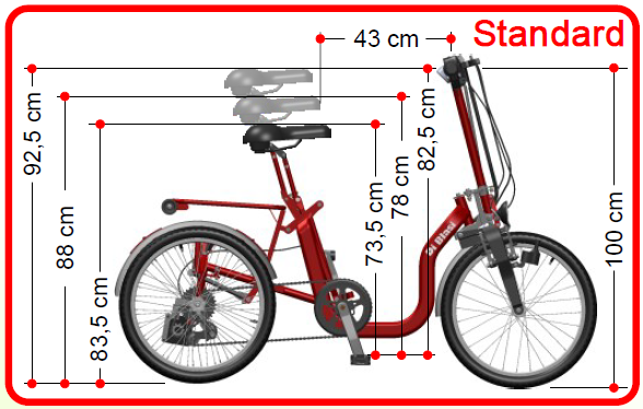 Elektrische driewielfiets, elektrische driewieler R34 Di Blasi.